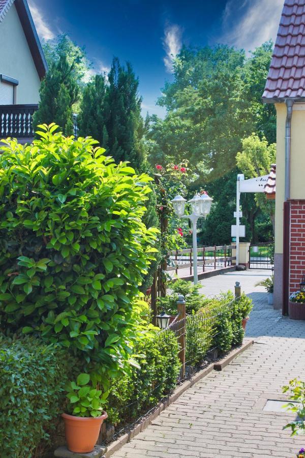Pension Luisenhof Tangermünde Buitenkant foto